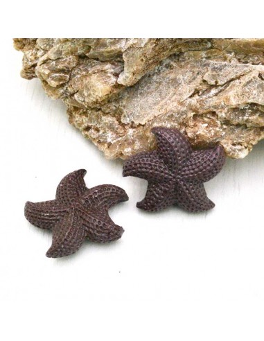 stelle marine in resina 30 mm con foro passante per BIGIOTTERIA