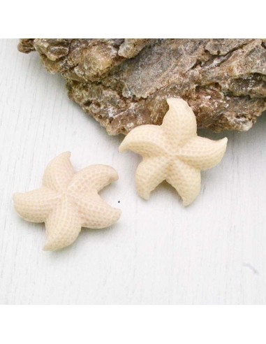 stelle marine in resina 30 mm con foro passante per BIGIOTTERIA