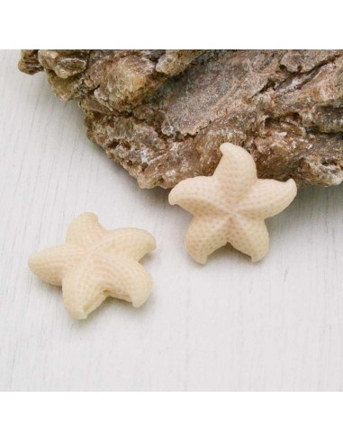 stelle marine in resina 30 mm con foro passante per BIGIOTTERIA