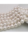 Filo rotonde in madreperla bianca 10 mm 40pz Gioie d'Oriente