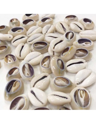 2 pz conchiglie sfuse per cavigliere collana braccialli orecchini bigioietteria
