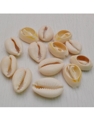 Confezione Cauri perline conchiglia naturale chiara 14x17mm 70pz Gioie d'Oriente