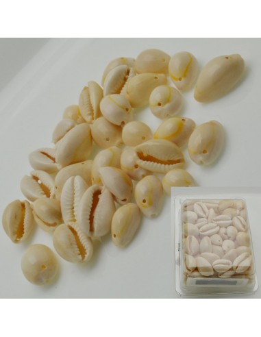 70 pz Ciondoli Conchiglie Guscio Naturale 13x22mm un foro Gioie d'Oriente