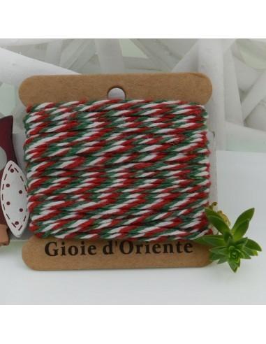 Filo di cotone bicolor intrecciato bianco, verde e rosso 2mm 10mt | GDO
