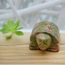 Tartaruga in Unakite : Un Simbolo di l'equilibrio e la crescita personale, Misura 55x40mm