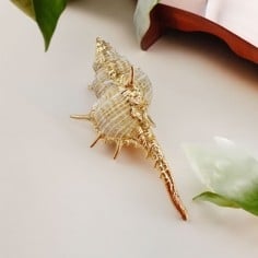 Ciondolo Conchiglia a Punta con Bordo Oro - Misura 4x9 cm Gioie d'Oriente