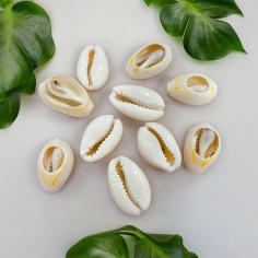 Conchiglie Sfuse 10x15 mm colore bianco per Cavigliere, Collane e Bracciali - 10 pz Gioie d'Oriente