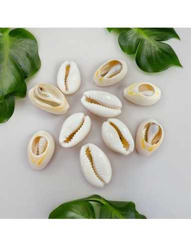 Conchiglie Sfuse 10x15 mm colore bianco per Cavigliere, Collane e Bracciali - 10 pz Gioie d'Oriente