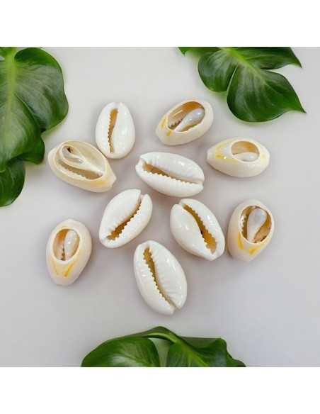 Conchiglie Sfuse 10x15 mm colore bianco per Cavigliere, Collane e Bracciali - 10 pz Gioie d'Oriente