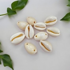 Conchiglie Naturali 11x17mm con 2 Fori - Confezione da 10 pz Gioie d'Oriente