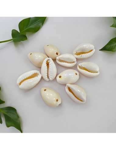 Conchiglie Naturali 11x17mm con 2 Fori - Confezione da 10 pz Gioie d'Oriente