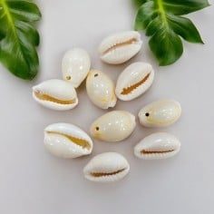 Ciondoli conchiglie naturali 1 foro 11x17mm - 10 pezzi Gioie d'Oriente
