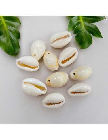 Ciondoli conchiglie naturali 1 foro 11x17mm - 10 pezzi Gioie d'Oriente
