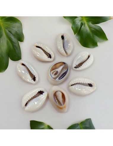 Connettore conchiglia sfumato colore naturale 14x22mm - 8 pezzi Gioie d'Oriente