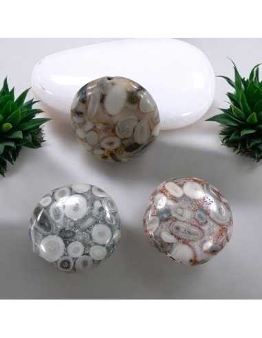 Perle Fossili di Diaspro Bottone 16mm Foro Passante 2pz |GDO