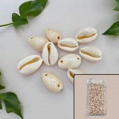 Confezione Ciondoli Conchiglie Guscio Naturale 2 Fori Misure Varie Gioie d'Oriente