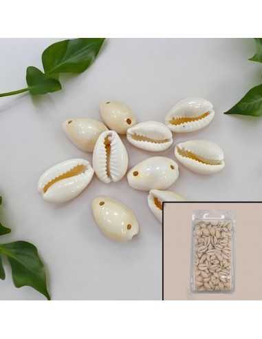 Confezione Ciondoli Conchiglie Guscio Naturale 2 Fori Misure Varie Gioie d'Oriente