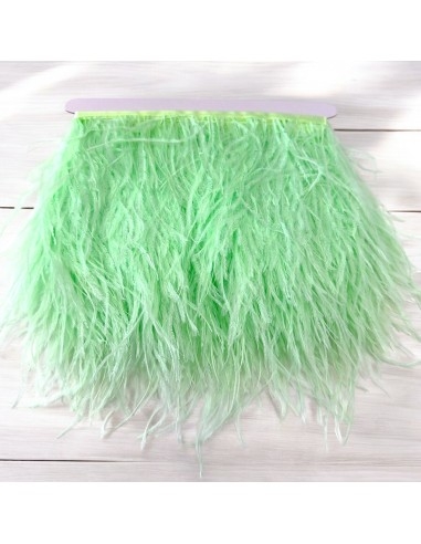 Piume di struzzo in frangia verde menta chiaro h16cm L20cm | GDO