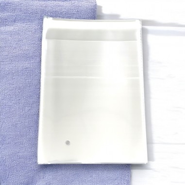 Sacchetti adesivi PP trasparente 16.5x24cm e 22x27cm 100pz | GDO