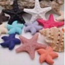 Stelle marine